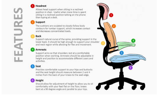 Ergonomic Shair Features